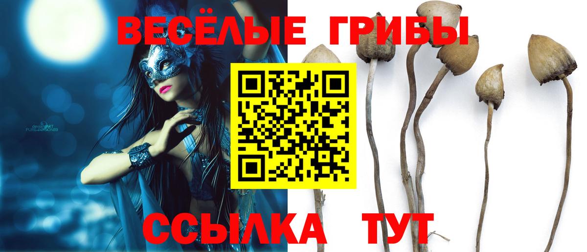 Псилоцибиновые грибы ЛСД  Вход с VPN  Избербаш 